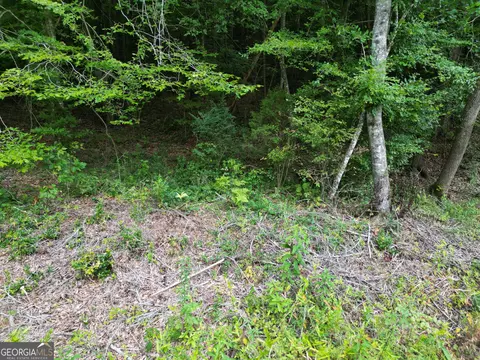 2 Harbert Valley Road, Toccoa, GA 30577 photo 16