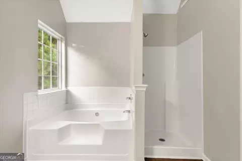 Bath - 354 Cobblestone Ct, Hampton, GA 30228 photo 1 of 4