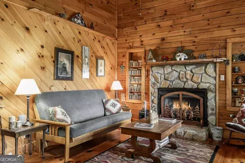Living - Undisclosed, Cherry Log, GA 30522 photo 3 of 4
