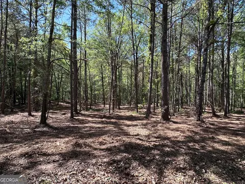 lot4 E Angela Dr, Lagrange, GA 30240