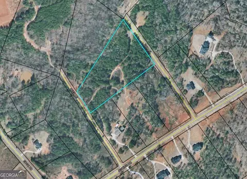 183 Deer Ln, Forsyth, GA 31029 photo 4