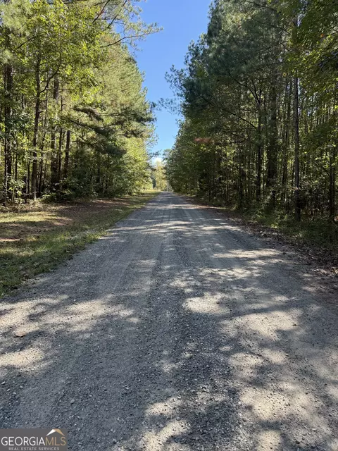 183 Deer Ln, Forsyth, GA 31029