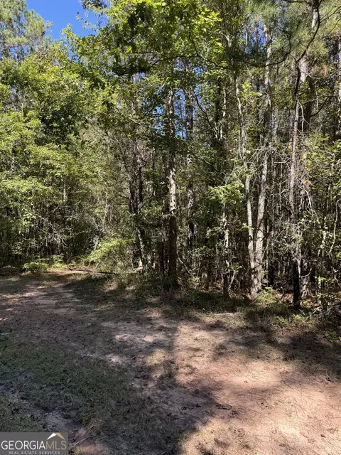 183 Deer Ln, Forsyth, GA 31029 photo 2