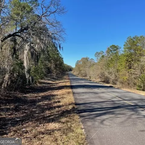lot A Pineville Road Apt 100- Acres Rd #100+/- ACRES, Buena Vista, GA 31803