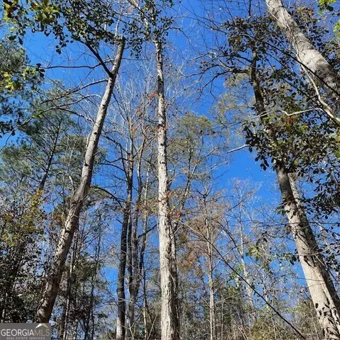 lot B Pineville Road Apt 100- Acres Rd #100+/- ACRES, Buena Vista, GA 31803