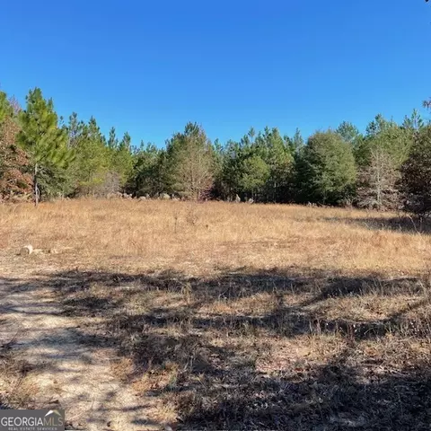 0 Pineville Road Apt 121- Acres Rd #121+/- ACRES, Buena Vista, GA 31803