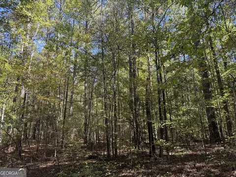 6 4 Acres Wadley St, Greenville, GA 30222