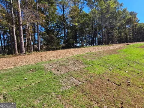 264 Meadows Dr, Bethlehem, GA 30620 photo 8