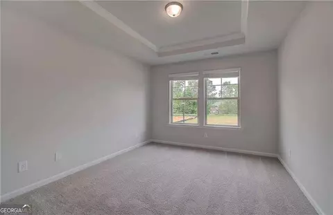 141 Haverling Pass, Hampton, GA 30228 photo 26