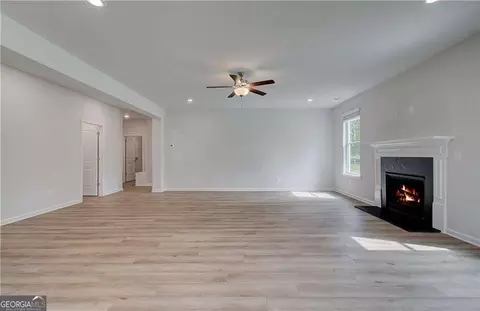 141 Haverling Pass, Hampton, GA 30228 photo 16