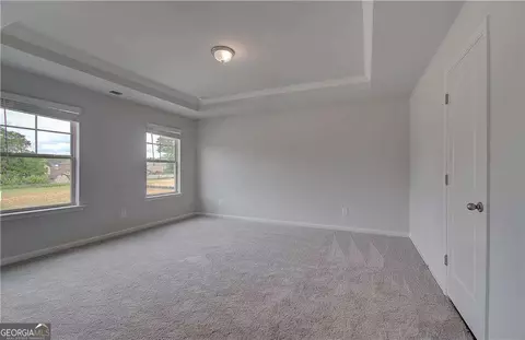 141 Haverling Pass, Hampton, GA 30228 photo 23