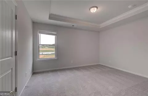 141 Haverling Pass, Hampton, GA 30228 photo 24