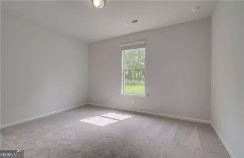 141 Haverling Pass, Hampton, GA 30228 photo 19
