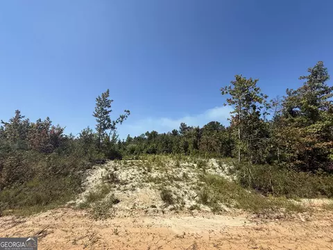 467 Alton Stewart, East Dublin, GA 31027