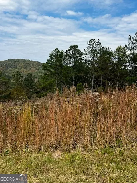 lot17 Lot 18 Pinehurst, Blairsville, GA 30512