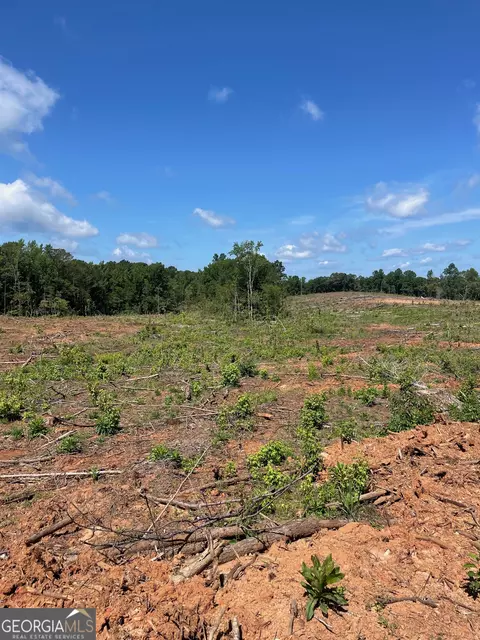 0 Allen Rd, Butler, GA 31006