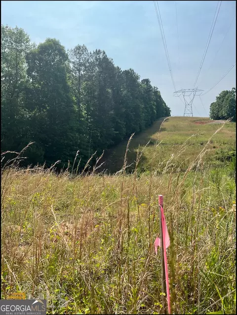 0 Harkness Rd, Jackson, GA 30233 photo 3