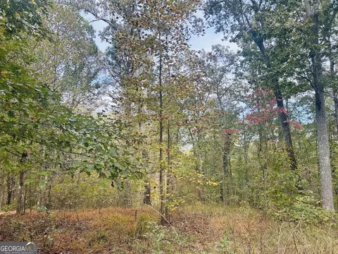 16 Turkey Ct Apt Lot #LOT 47, Waco, GA 30182