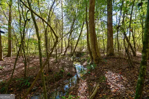 1 Bridges Rd, Carlton, GA 30627