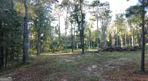 0 Collins Rd, Cairo, GA 39828 photo 4