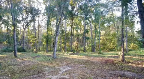 0 Collins Rd, Cairo, GA 39828 photo 5