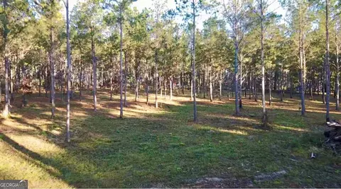 0 Collins Rd, Cairo, GA 39828 photo 3