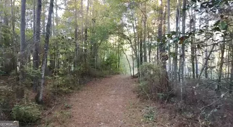 0 Collins Rd, Cairo, GA 39828 photo 2
