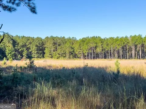 0 Penn Ln, Waynesboro, GA 30830