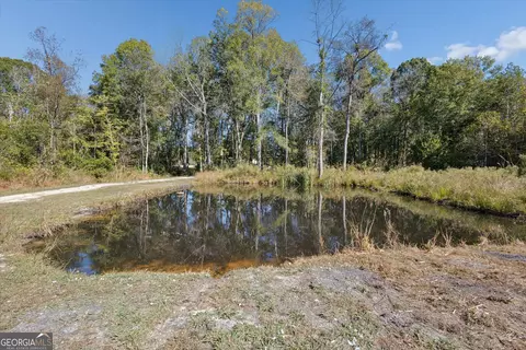 Other - 4031 Mud Rd, Brooklet, GA 30415 photo 17 of 19