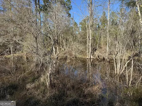 009 Mt Zion Rd, Gordon, AL 36343
