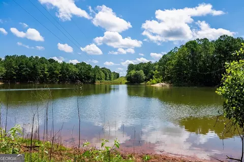 266 Ac Loven Mill Rd, Richland, GA 31825 photo 21