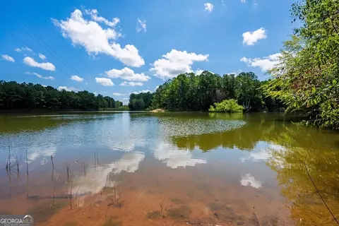 266 Ac Loven Mill Rd, Richland, GA 31825 photo 19
