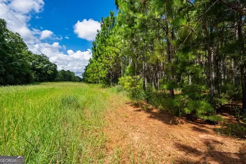 266 Ac Loven Mill Rd, Richland, GA 31825 photo 22
