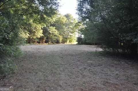 266 Ac Loven Mill Rd, Richland, GA 31825 photo 25