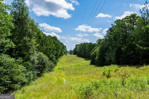 266 Ac Loven Mill Rd, Richland, GA 31825 photo 24