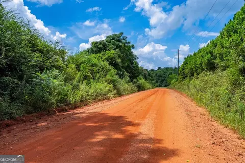 266 Ac Loven Mill Rd, Richland, GA 31825 photo 30
