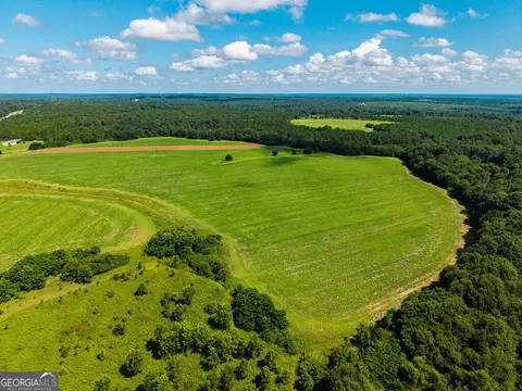 266 Ac Loven Mill Rd, Richland, GA 31825 photo 12