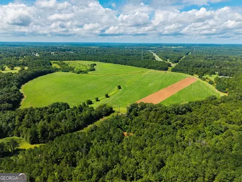 266 Ac Loven Mill Rd, Richland, GA 31825 photo 11