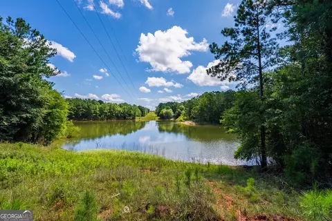 266 Ac Loven Mill Rd, Richland, GA 31825 photo 18