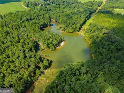 266 Ac Loven Mill Rd, Richland, GA 31825 photo 5