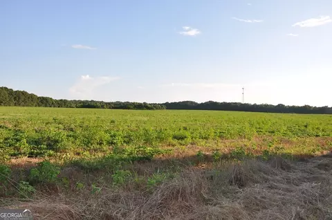 266 Ac Loven Mill Rd, Richland, GA 31825 photo 16