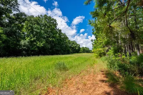 266 Ac Loven Mill Rd, Richland, GA 31825 photo 23