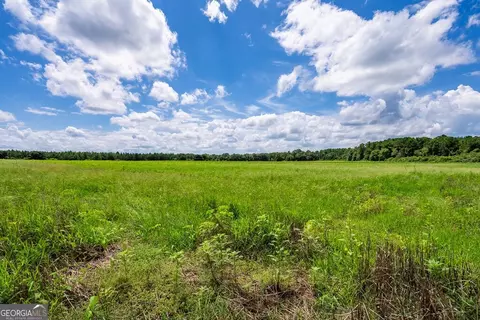 266 Ac Loven Mill Rd, Richland, GA 31825 photo 14