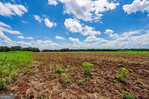266 Ac Loven Mill Rd, Richland, GA 31825 photo 4