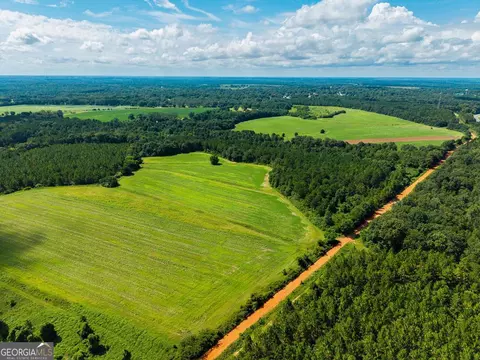 266 Ac Loven Mill Rd, Richland, GA 31825