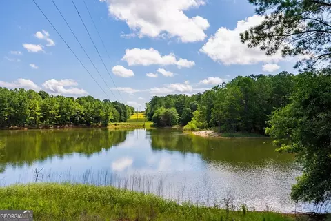 266 Ac Loven Mill Rd, Richland, GA 31825 photo 6