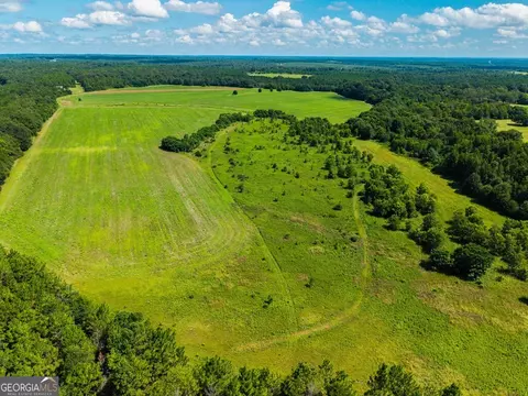 266 Ac Loven Mill Rd, Richland, GA 31825 photo 10