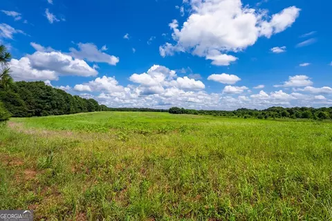 266 Ac Loven Mill Rd, Richland, GA 31825 photo 15