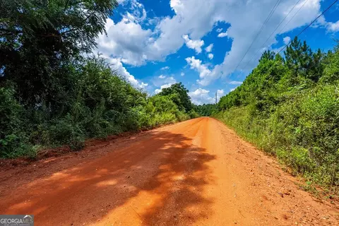 266 Ac Loven Mill Rd, Richland, GA 31825 photo 29