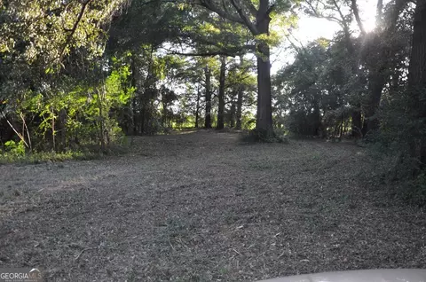 266 Ac Loven Mill Rd, Richland, GA 31825 photo 27